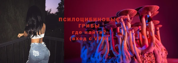 ПСИЛОЦИБИНОВЫЕ ГРИБЫ Грязовец